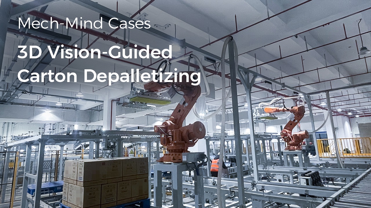 3D Vision-Guided Carton Depalletizing in the Food & Beverage Industry