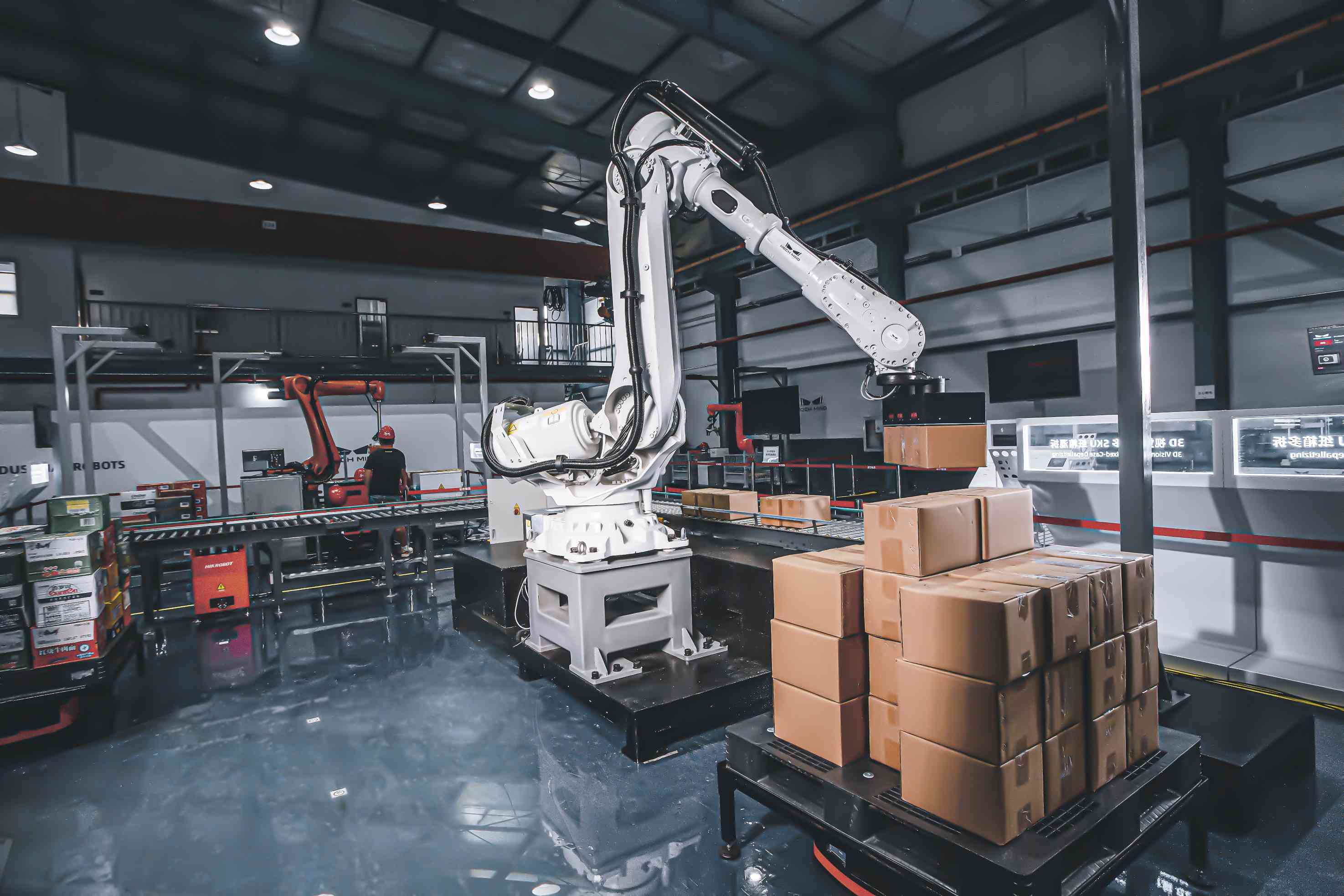 Überblick und Vorteile der automatisierten robotergestützten Depalettierung
