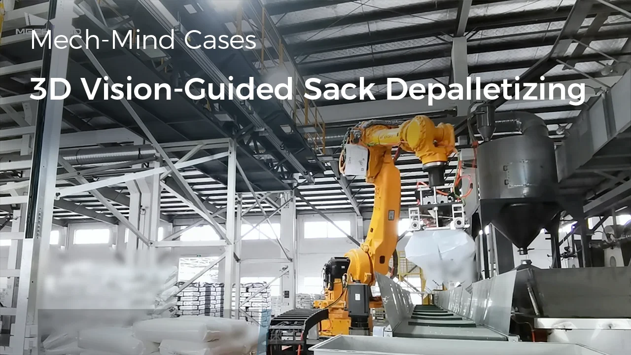 3D Vision-Guided Sack Depalletizing