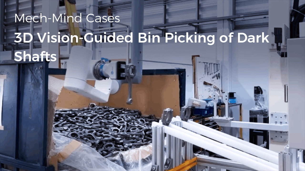 AI+3D Vision-Guided Bin Picking of Dark Shafts