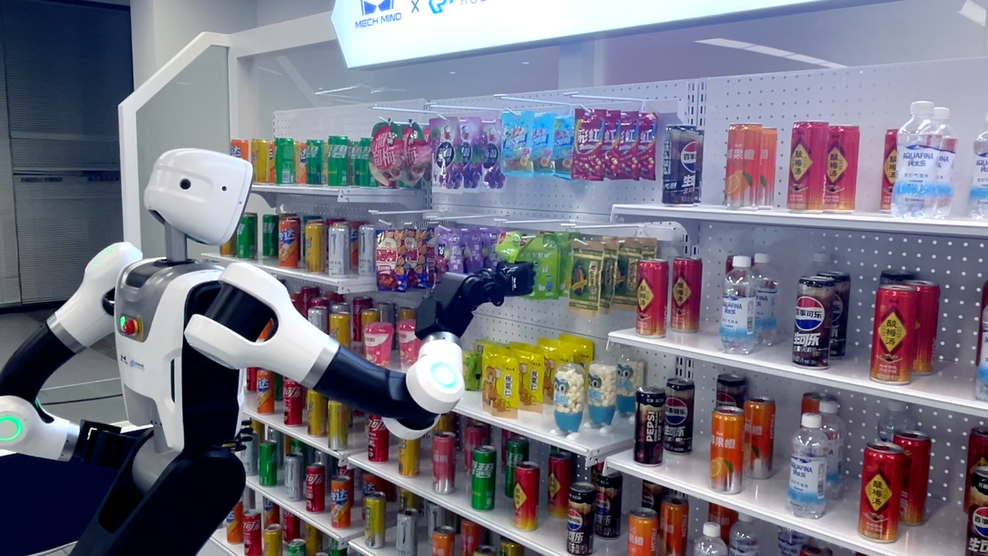 Mech-Mind Robotics: Fully Autonomous Goods Picking with a Humanoid Robot
