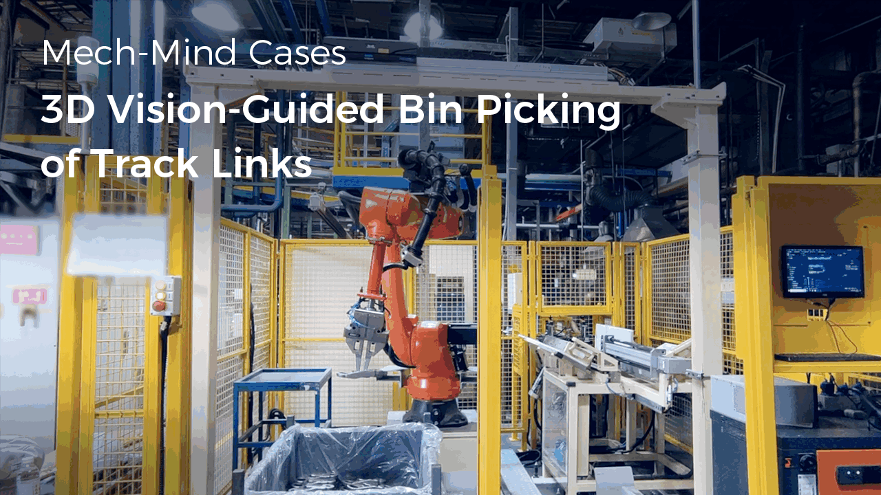 3D Vision-Guided Bin Picking of Track Links