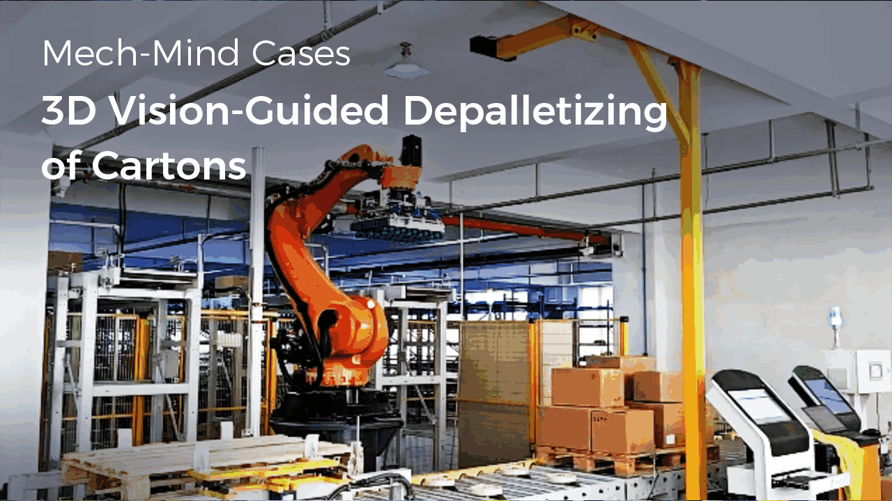 3D Vision-Guided Depalletizing of Cartons